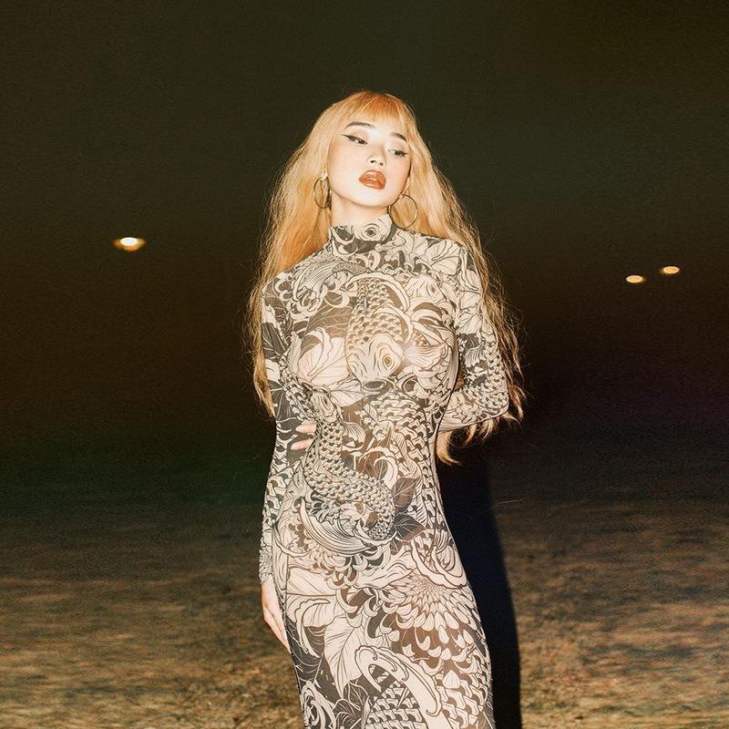 New Fashion Mesh Printing Perspective Turtleneck Dress Spring and Summer Slim and Thin Dresses Streetwear Long Sleeve Maxi Dress Party Women Clothing