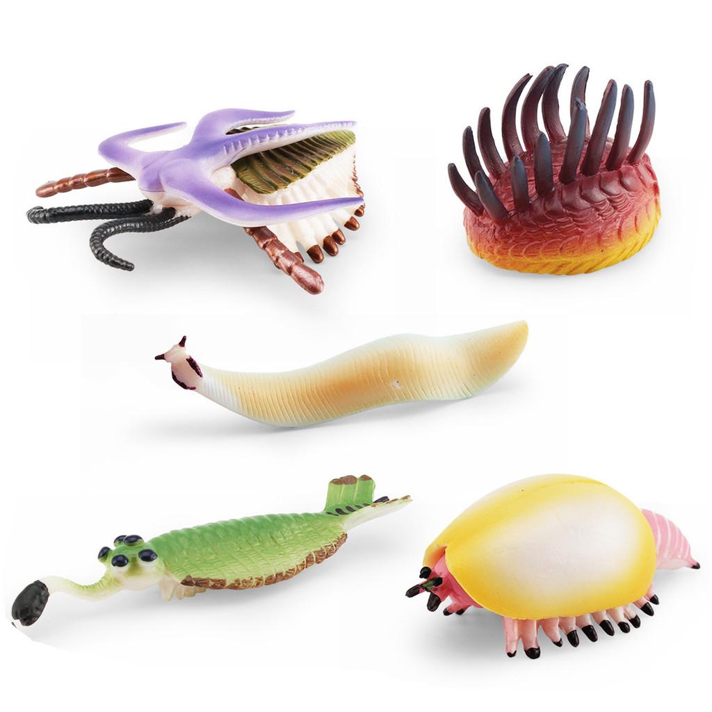 Realistic Ancient Marine Creature Model Collection Featuring Cambrian Anomalocaridids And More