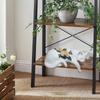 Cat Figurine Character Decoration Resin Crafts Desk Home Bookshelf Cabinet Office Lovely Collectible