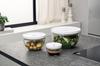 ZWILLING Fresh Save Vacuum Storage with Airtight Glass Vacuum Storage Container Japanese Fresh Save & Bowl, Medium, 18cm, Glass, Lid, Heat-Resistant