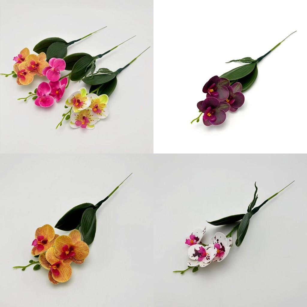 Phalaenopsis Photography Prop With Realistic 3d Printing For Wedding Decor And Outdoor Shoots