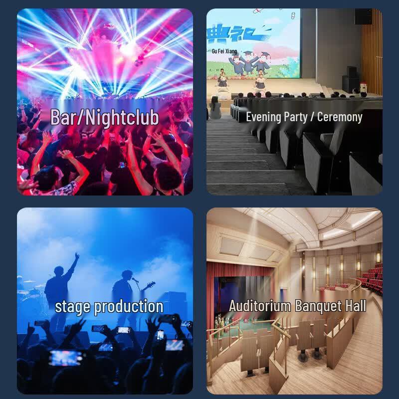 HuiDu Professional Subwoofer for Stage & Entertainment (CN version)
