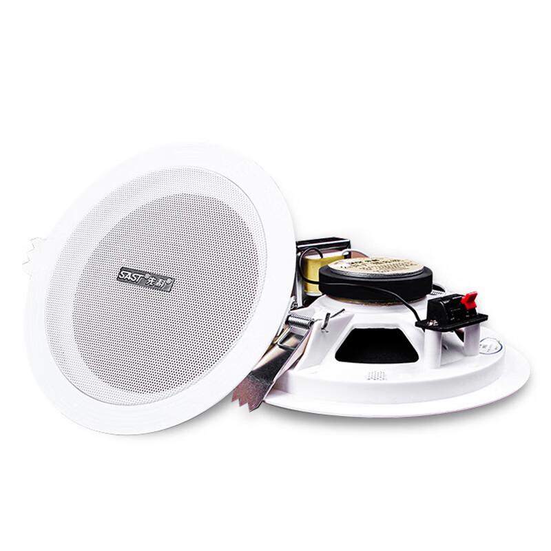 Sienko Y5 5-inch Ceiling Speaker CN plug (adapter included)