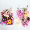 Dried Flowers Home Photography Props DIY Ornament Craft Specimen Accessories