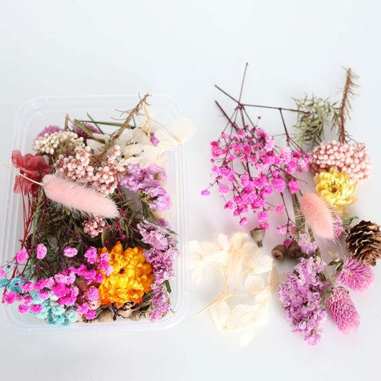 Dried Flowers Home Photography Props DIY Ornament Craft Specimen Accessories