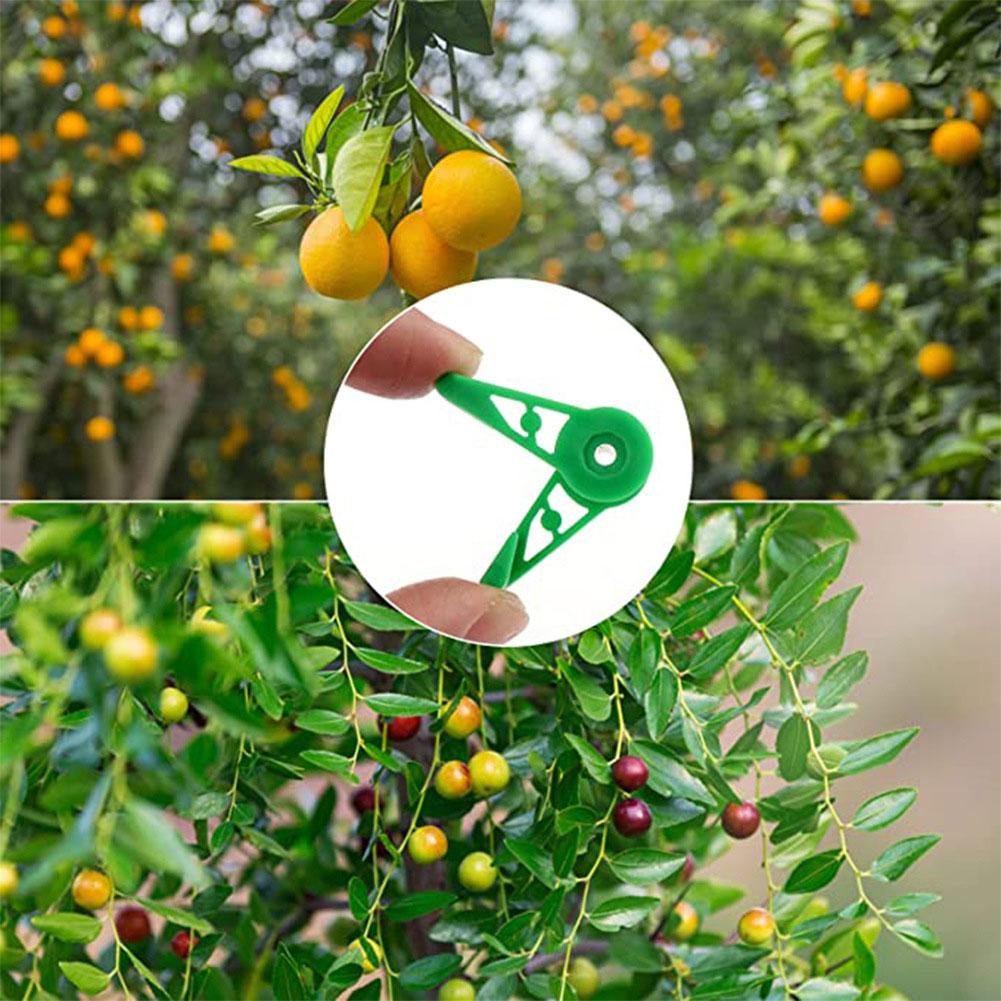 Multi-angle Plant Bender Adjustable Clips Reusable Plant Stem Trainer Plant Growth Shaper for Indoor Potted Plants Garden Supplies