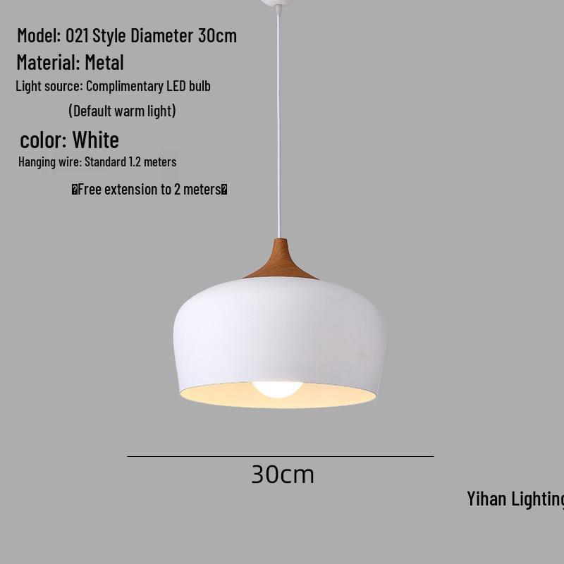 Modern Nordic Single-Head Pendant Light for Hotels, Bars, and Restaurants - Industrial Retro Style Lampshade.