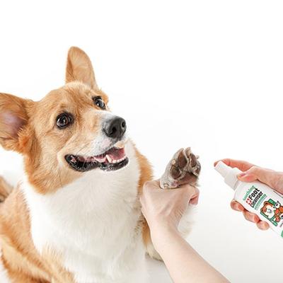Laughing Charlie Dog Soothing Foot Cleanser, Korean Pet Shampoo