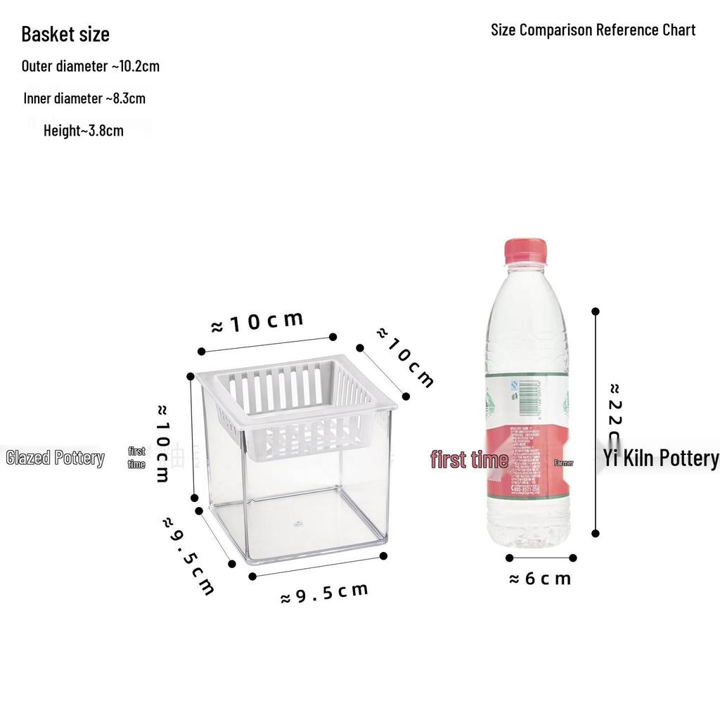 Large Transparent Vase for Hydroponic Plants: Coin Plant, Orchids, Money Tree, Plastic Flower Pot