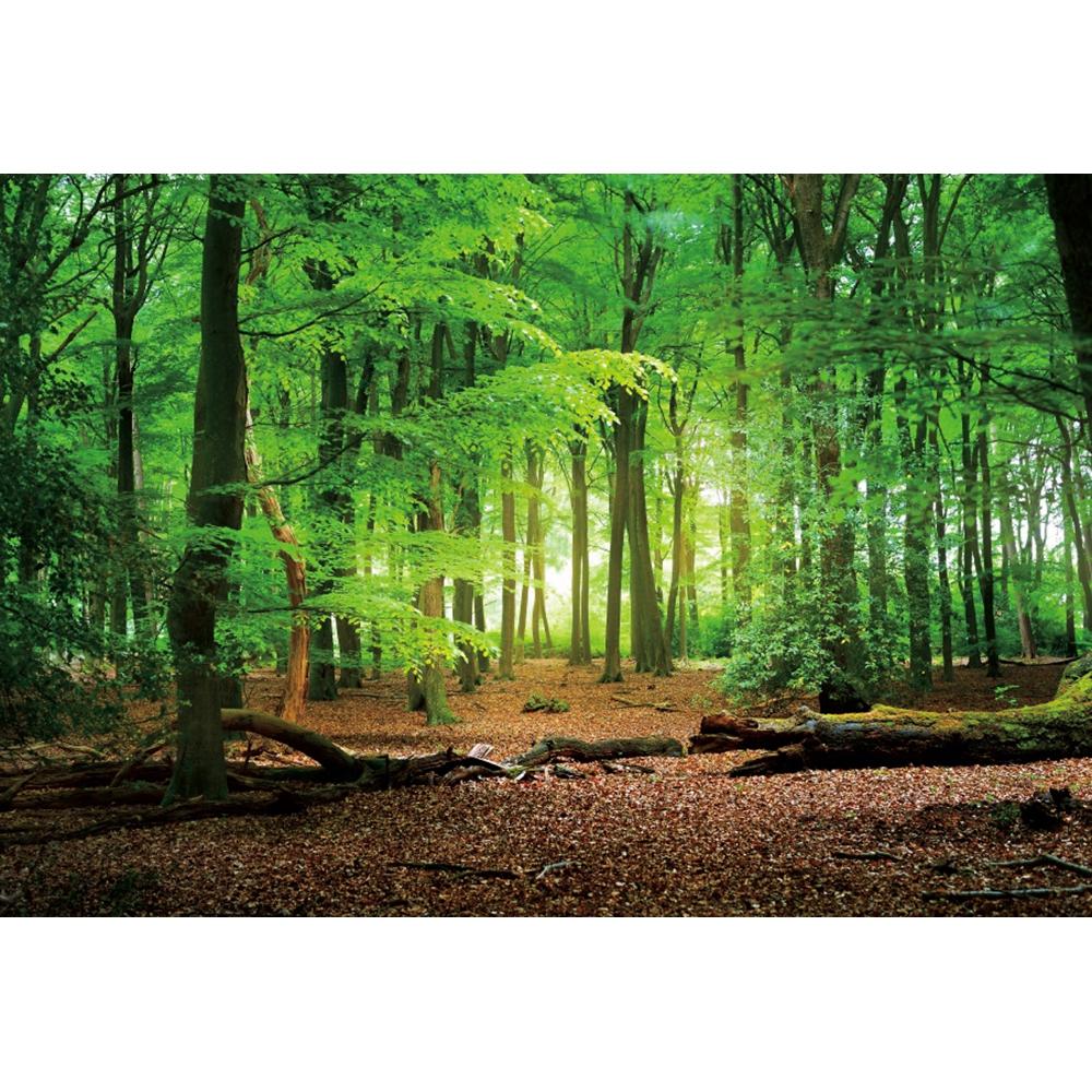 Spring Forest Backdrop Tropical Jungle Rainforest Backdrops for Photography Camping Adventure Birthday Background Photo Studio