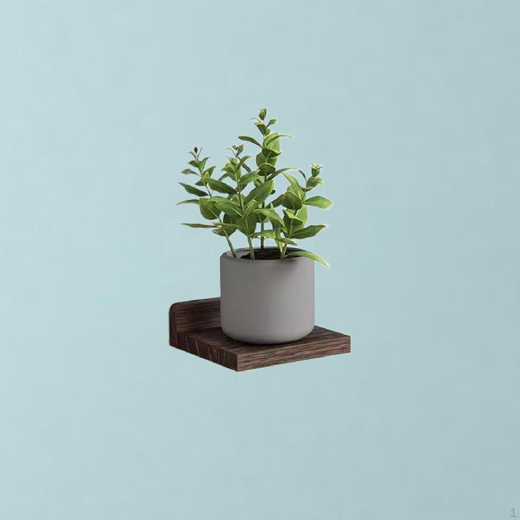 4 Wall Shelf Organizer for Indoor And Outdoor Use