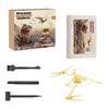 DIY Dinosaur Fossil Excavation Kit for Kids Educational Archaeology Toy Includes Dinosaur Skeleton Model and Excavation Tools for Hands On Learning
