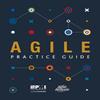Agile Practice Paperback US-186