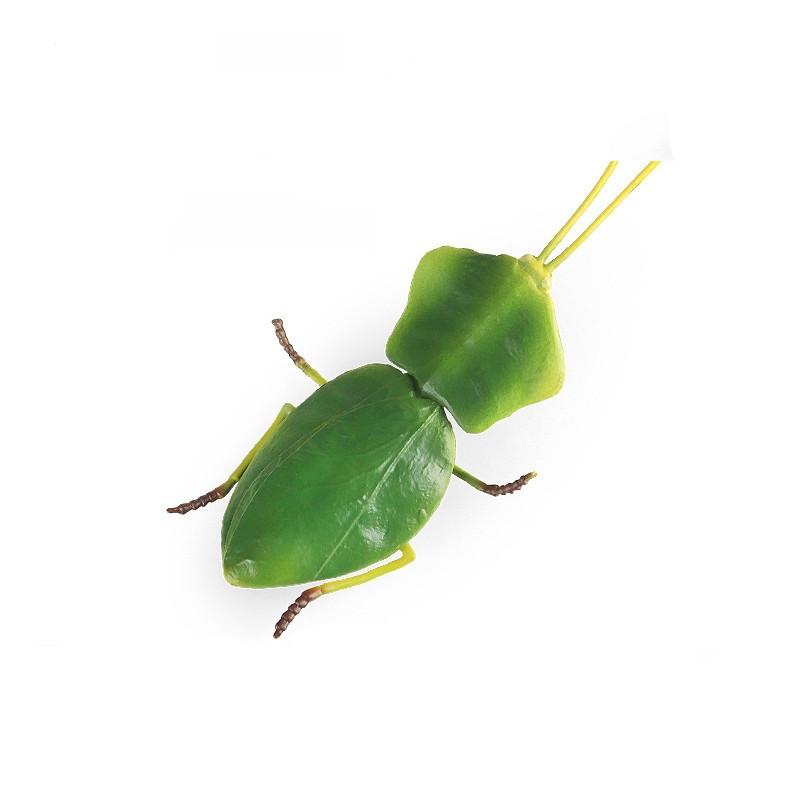 Insect Model Water Bug Toy With Plastic Material For Childrens Educational Play