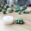 3D Cactus Succulents Silicone Mold For Jelly Chocolate Ice Making Cake Baking Gypsum Wax Concrete Candle DIY Resin Art Mould
