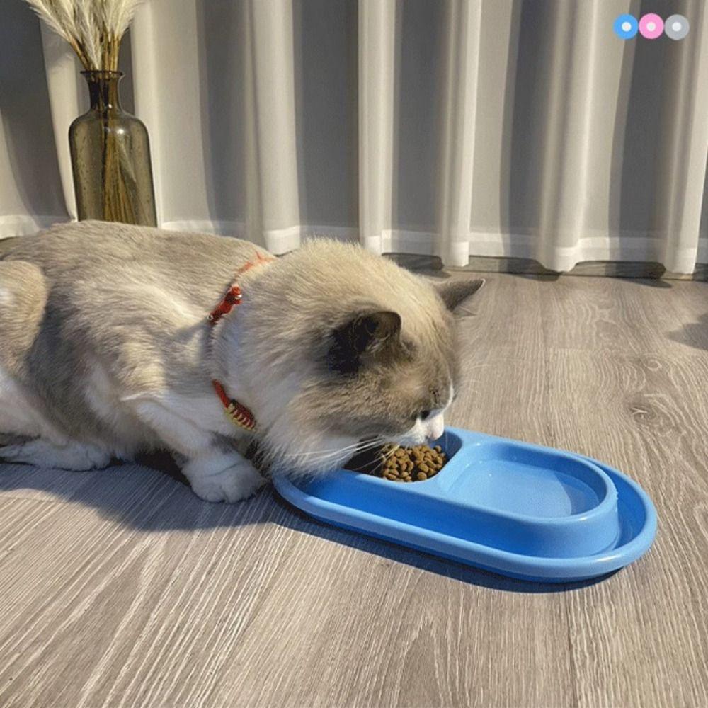 Anti Ants Pet Feeding Double Bowls Rainproof Pet Food Basin Pet Food Water Feeder  Outdoor