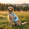 Reflektierende Hundekühlweste Schnelltrocknendes Sommer-Hundeshirt Haustier-Kühlshirt Nachtwanderung