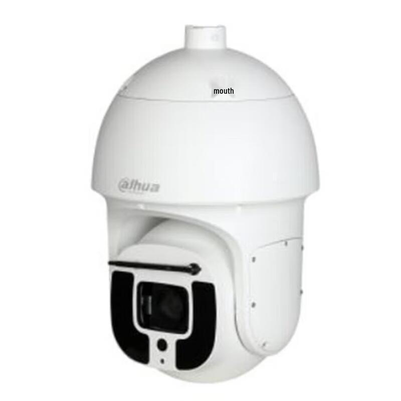 

Dahua 8-inch 4MP AI Infrared Anti-Corrosion Network PTZ Camera CN plug (adapter included)