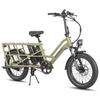 Fafrees FF20 CUV Longtail Electric Bike, 12 Ah X 2 Batteries, 250W