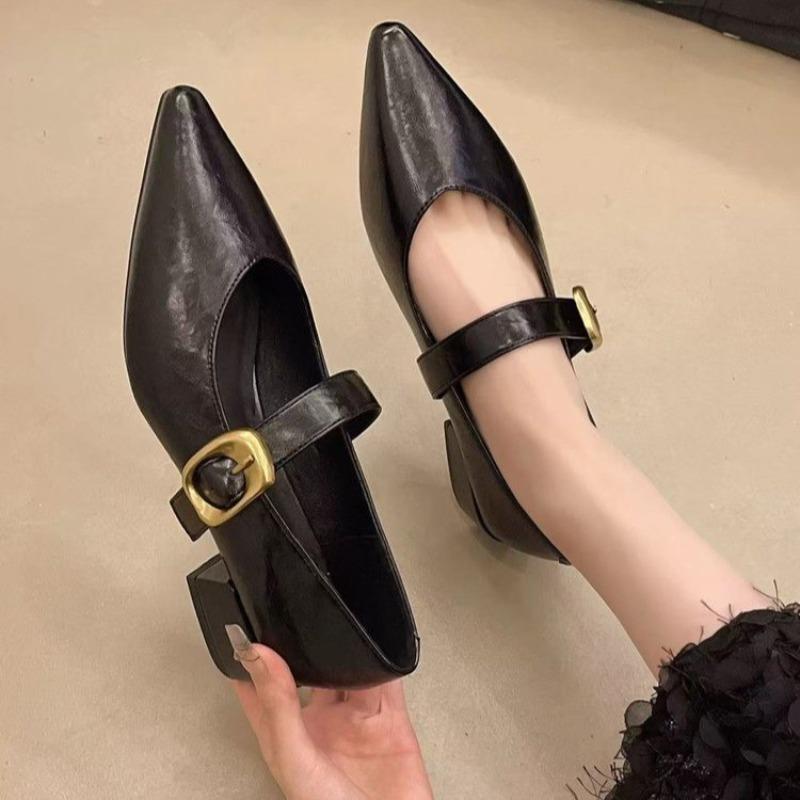 Fashion 2025 New Pointed Mary Jane Single Shoes Women's Spring New Fashion Retro Shallow Mouth Thick Heel Small  Shoes
