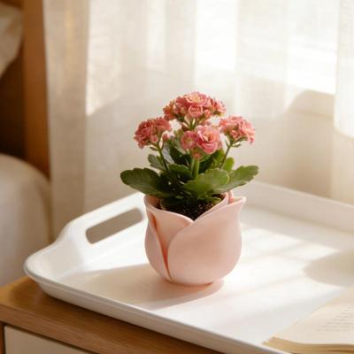 Rose Shape Succulent Basin Flowerpot Creative Mini Succulent Plant Pots For Daily Gardening Home Decoration Flowerpots