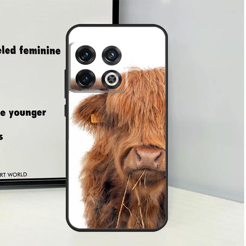 Cute Highland Cow For OnePlus Nord CE 5 2 3 4 Lite N20 N30 Case For OnePlus 13 12 11 9 10 Pro 10T 12R 13R 13T