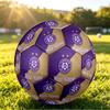 Personalized Size 5 Football Austria Wien FC Pattern Outdoor Game Sports Ball Gift