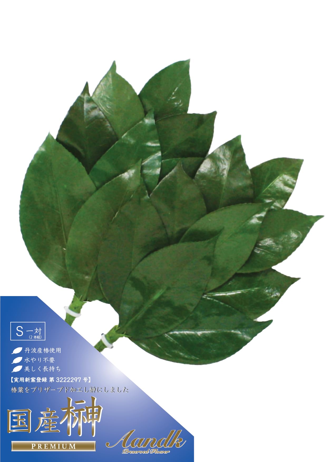 

A&K Sakaki Preserved Flowers (SmallPair) - Never Withers, Not Artificial, No Watering Required, Made in Japan, Tanba, Shinto Altar Decoration,