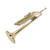 Bb Standard Trumpet Kit Double Bar Support Trumpet for Beginner Students Brass Wind Instrument and Cleaning Set