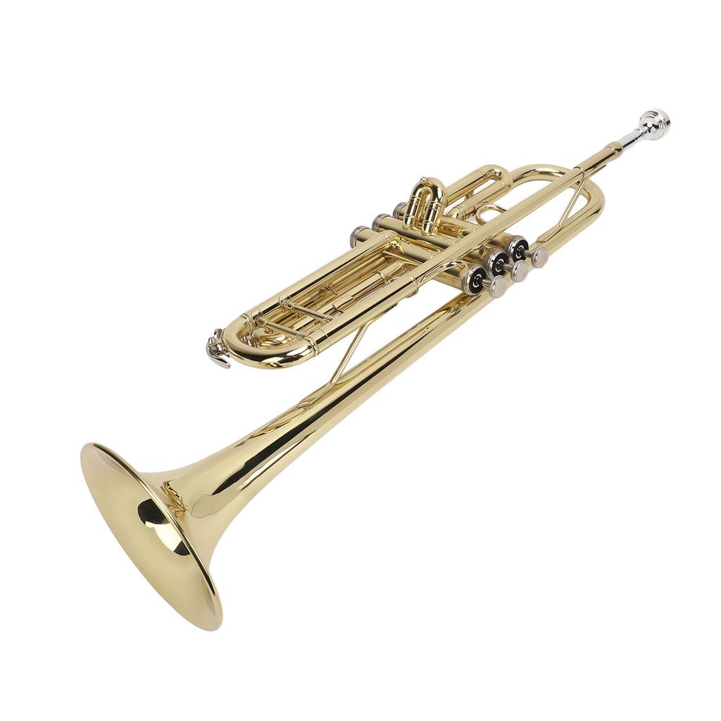 Bb Standard Trumpet Kit Double Bar Support Trumpet for Beginner Students Brass Wind Instrument and Cleaning Set