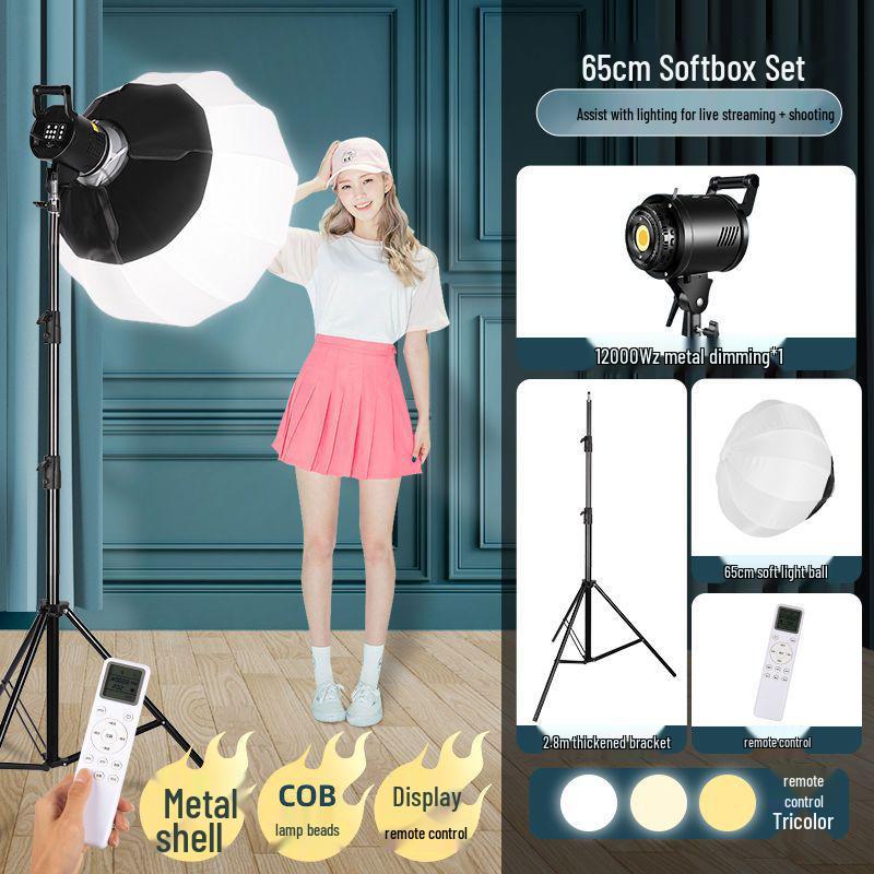 Zheyu Bright Spherical Fill Light for Indoor Live Streaming and Photography
