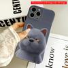 2DFlat Gray Cat with Yellow Eyes Phone Case All Inclusive Film Hard iPhone Case, Compatible with iPhone 18 Pro Max 17 16 15 14 13 12 11