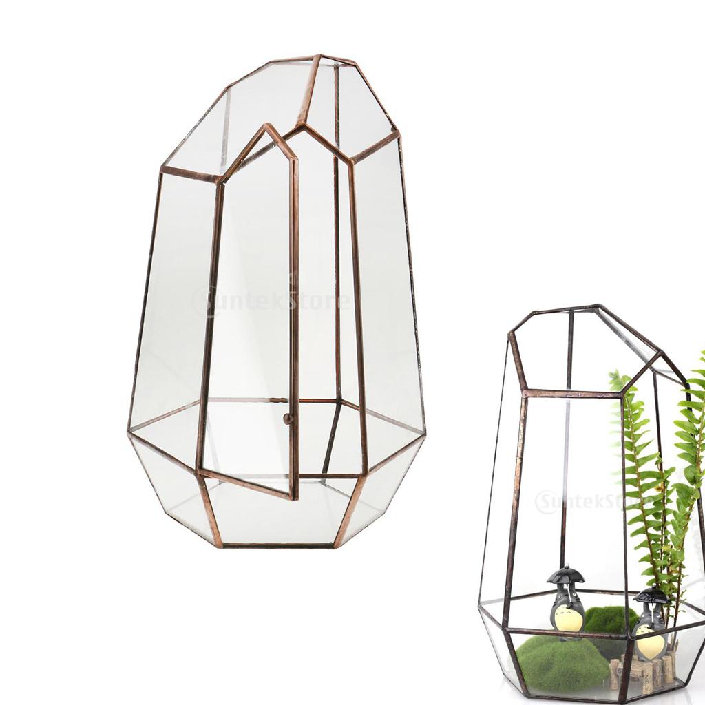 Clear Glass Geometric Terrarium Tabletop Planter Irregular Plant Box Succulent Holder for Indoor Garden