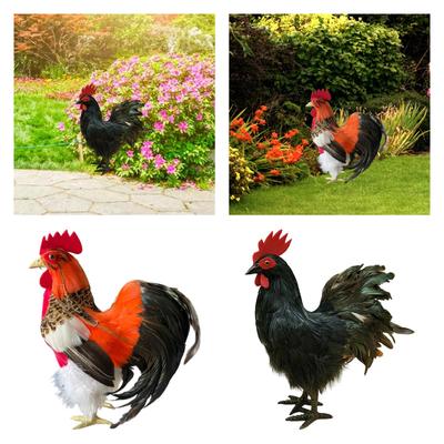 Jardinagem e paisagismo – Decoração de jardim