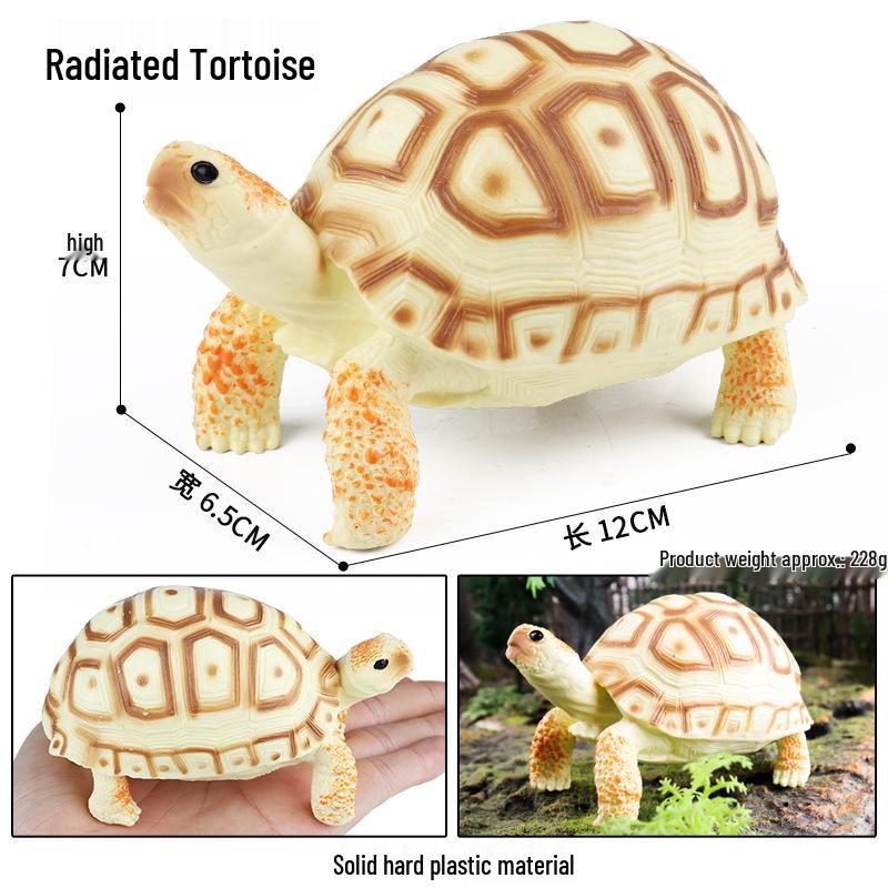 Wild Animal Model: Children's Simulation Turtle Gift Set - Tortoise Variants & Spiderweb Design.