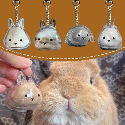 Transparent Rabbit Fur Storage Pendant Keychain, Gumball Rabbit, Rabbit Fur Hair Storage Capsule, Commemorative Collection Bag