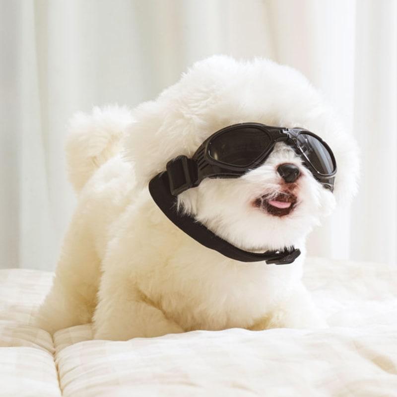 [Pet] Foldable Goggles