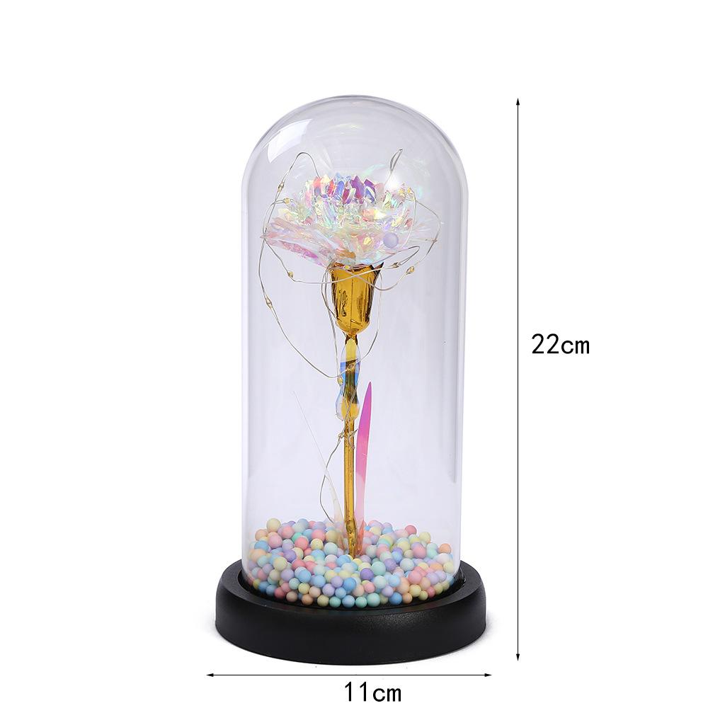 Mother's Day Gift Glass Cover Eternal Flower for Mother To Keep Long Carnation Night Light Tabletop Ornament