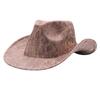New Western Cowboy Hat Top Hat Big Eaves Hat Men's and Women's Minority Style Jazz Hat