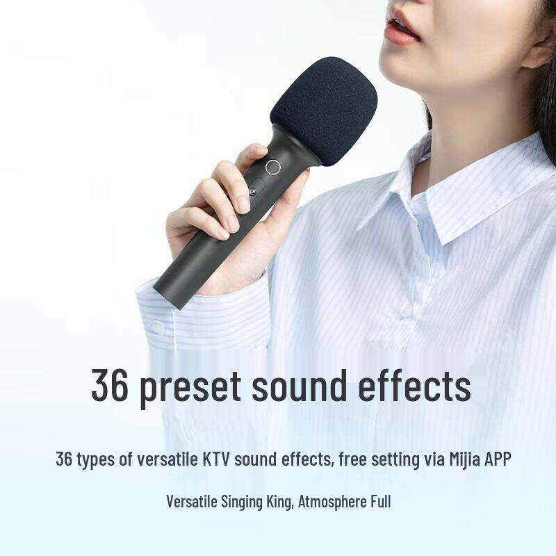 Xiaomi KTV Wireless Dual Microphone Kit
