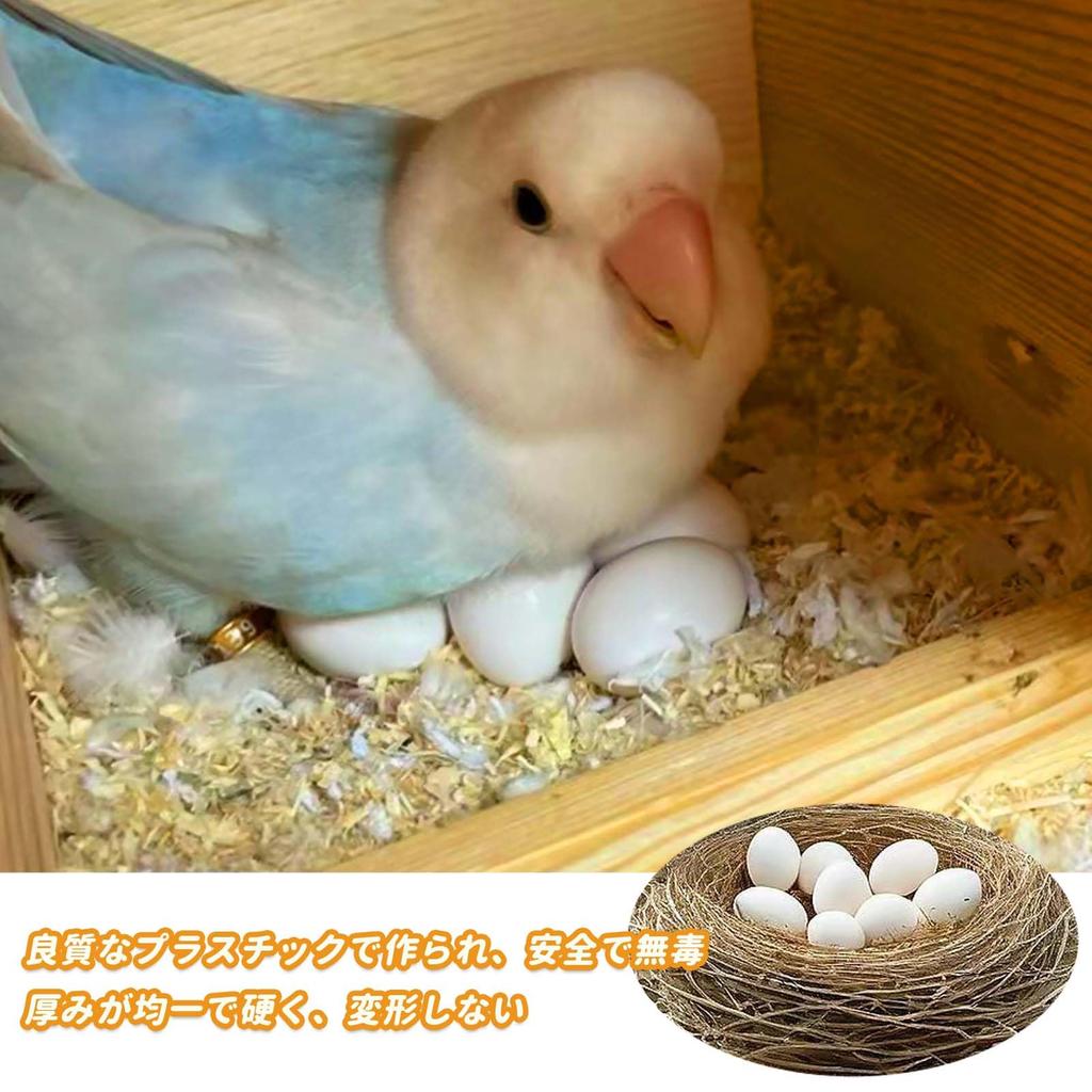PAVIKE Fake Bird Set of for Fake Chicken Pigeon Breeding Artificial Egg Food Fake Dummy Eggs for and Parakeets Eggs, Toys, 4, Parakeets, Eggs,
