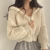 Korean Chic Hooded Short Knit Cardigan - Women's Autumn/Winter Loose Lapel Style