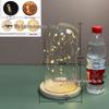 Luminous Sea Urchin Glass Dome with Preserved Flowers and String Lights