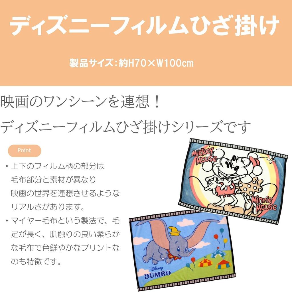 Marushin Disney Rapunzel Wonderful World Throw Blanket, Polyester Meyer, Cute, Fluffy, Stylish, Winter Warmer, Product Number: 2245033400