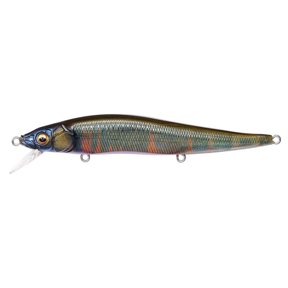 

Megabass Vision One Ten 110 Fine Art Finish Megabass VISION ONETEN 02 FA OIKAWA 110mm