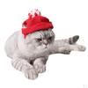 Pet Hat Wool Clothes Outdoor Indoor Costume
