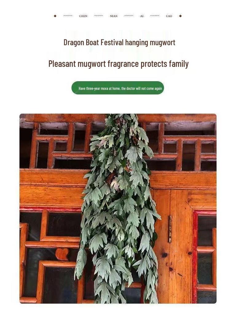 Mugwort Foot Soak Bags - Wild Pure Mugwort Blend (500g) for Relaxing Foot Bath