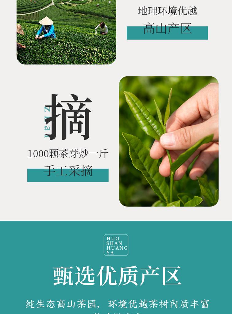Xiaocha Diary Tea Yellow Tea Huoshan Yellow Sprout Bagged 125g Anhui Spring Tea Drink It Yourself