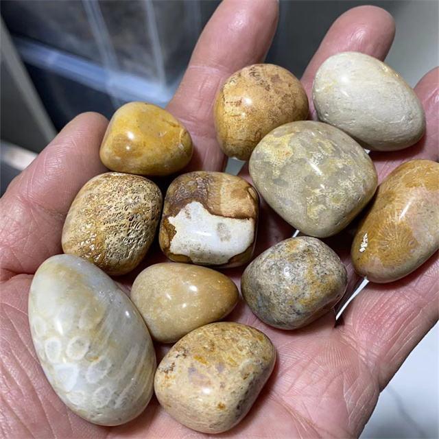 20-30mm Crystals Healing Stones Natur Coral Jade Tumbled Stones for Decor One Size золотой