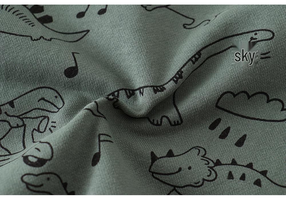 European Style Boys' Cotton Long Sleeve Hoodie - Autumn/Winter Children's Clothing